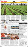 1 August Page 6 Epaper