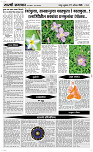 7 August Page 4 Epaper